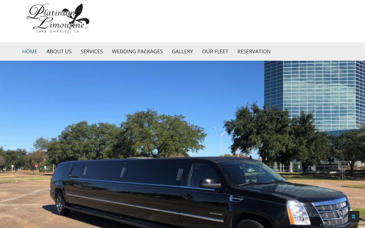 Platinum Limousine, LLC