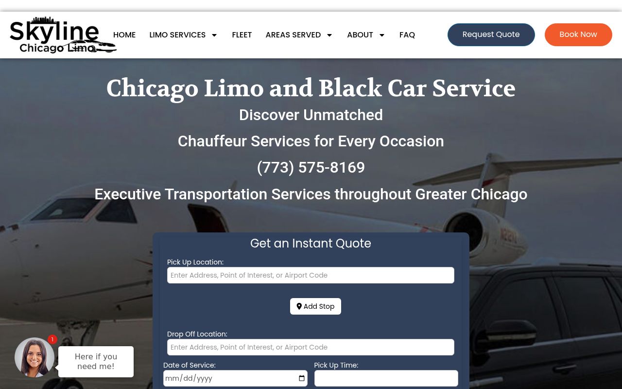 Skyline Chicago Limo